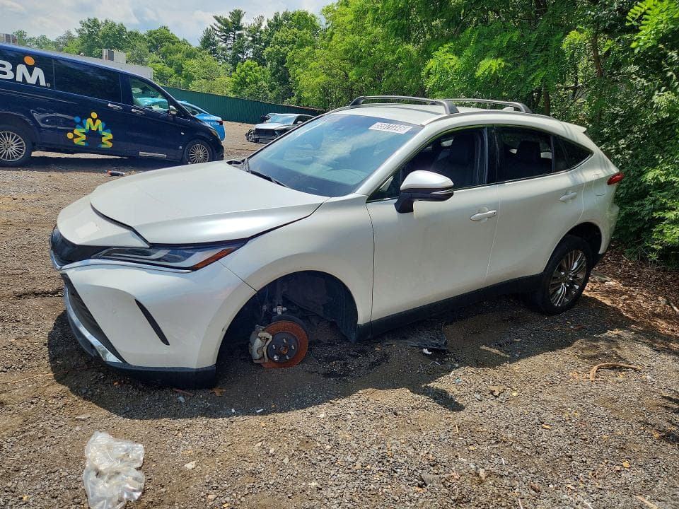 2024 TOYOTA VENZA XLE
