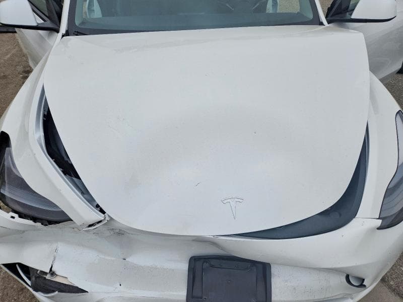 2024 TESLA MODEL Y 12