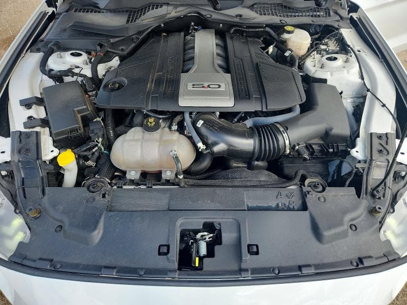 2019 FORD MUSTANG GT 11