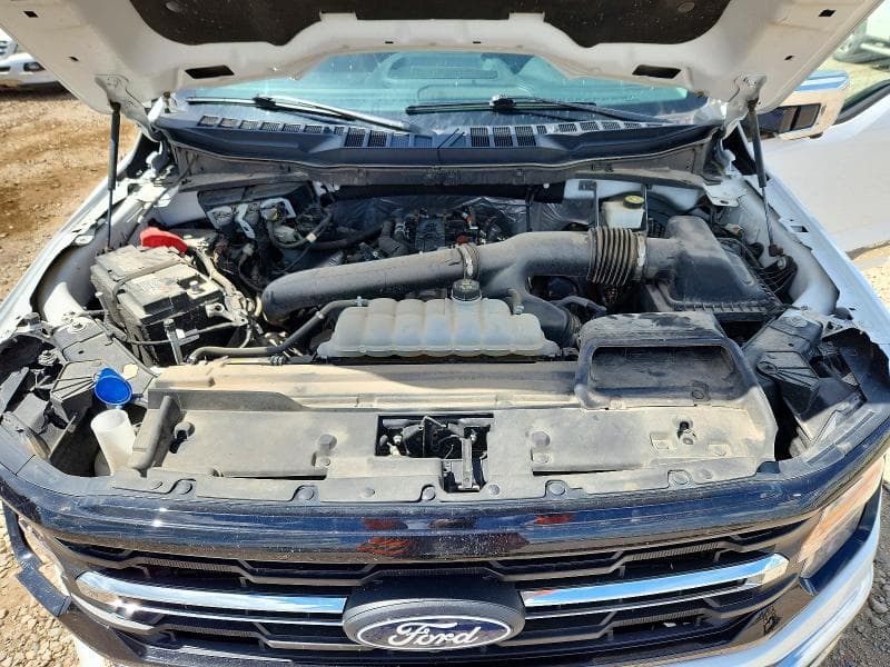 2024 FORD F150 XLT 11