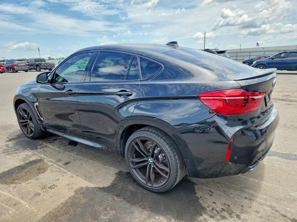 2019 BMW X6 M 2