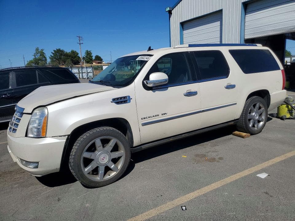 2010 CADILLAC ESCALADE - 1