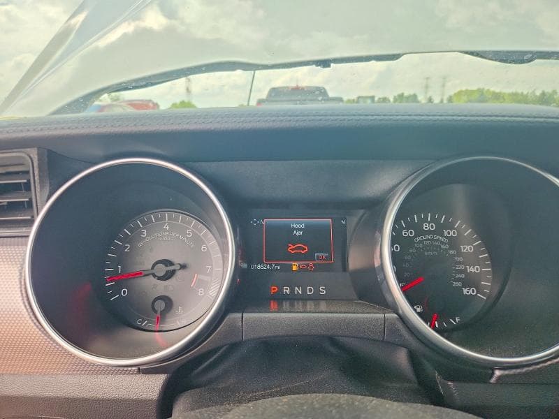 2019 FORD MUSTANG GT 9