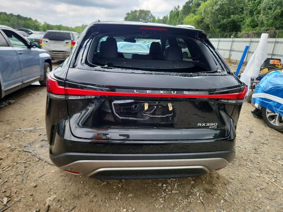 2024 LEXUS RX 350 LUXURY 6