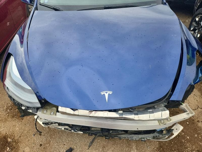 2025 TESLA MODEL Y 11