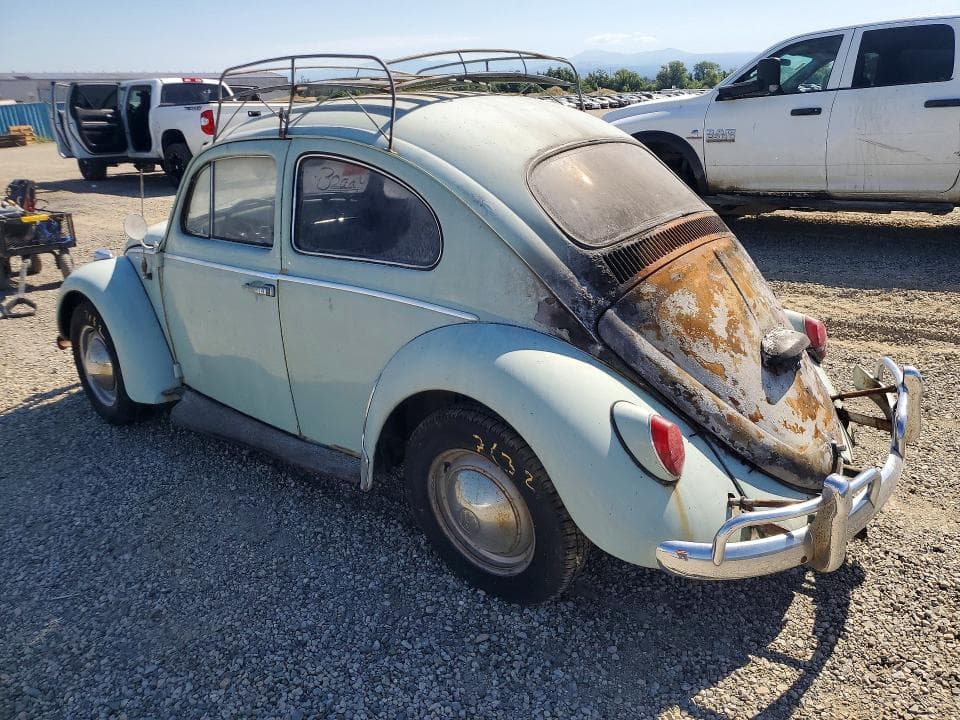 1964 VOLKSWAGEN BEETLE 2