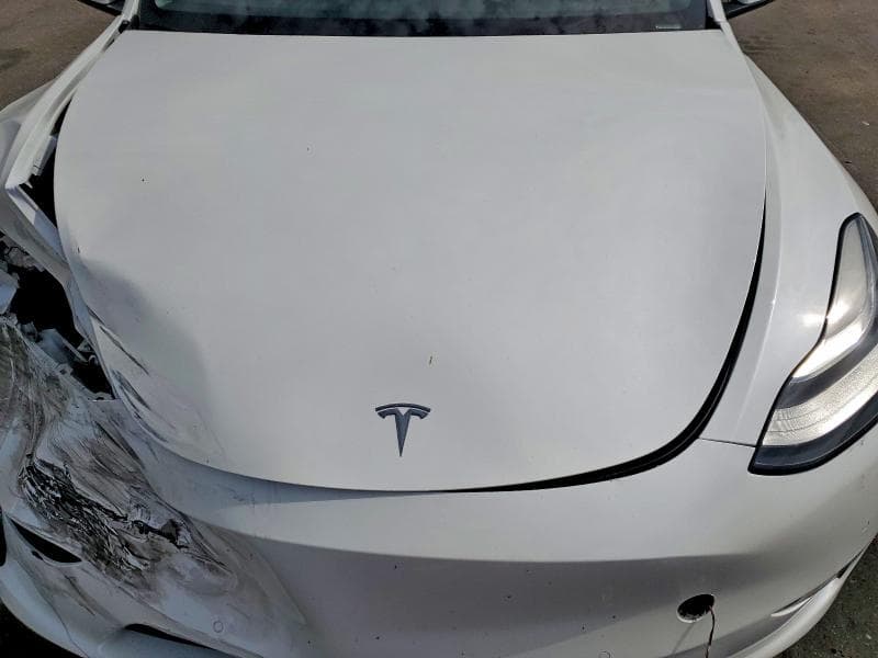 2022 TESLA MODEL Y 11