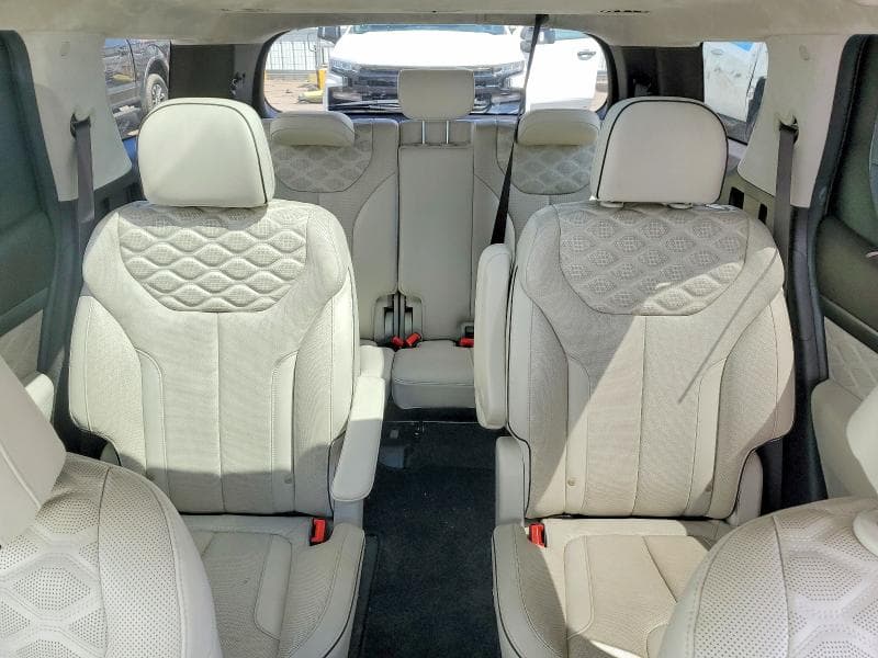 2020 HYUNDAI PALISADE LIMITED 10