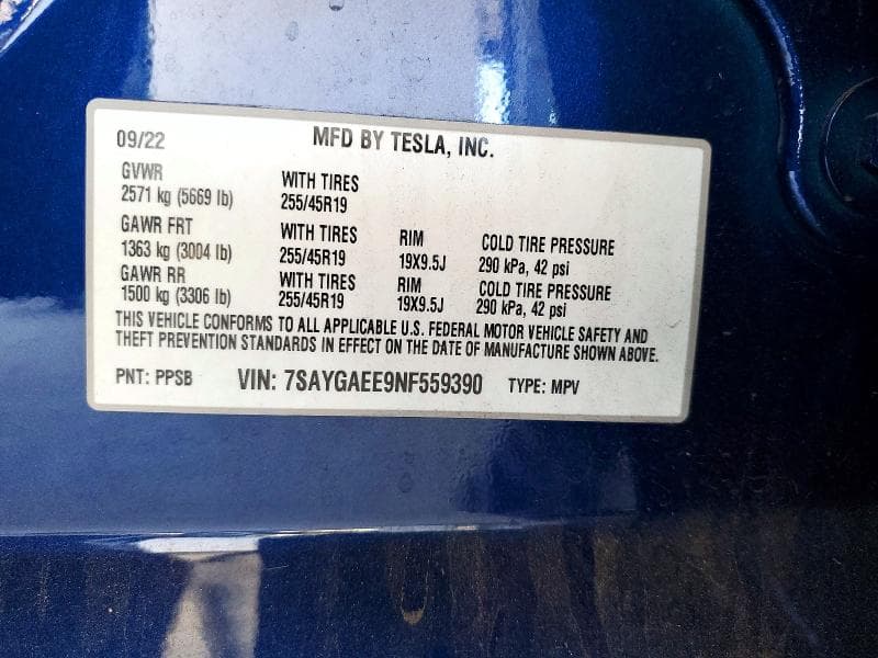2022 TESLA MODEL Y 13