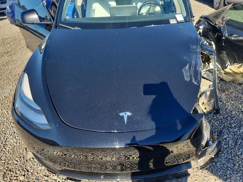 2022 TESLA MODEL Y 12