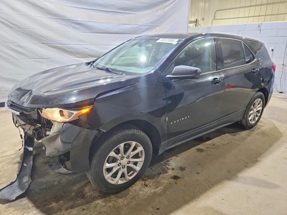 2019 CHEVROLET EQUINOX LS - 1