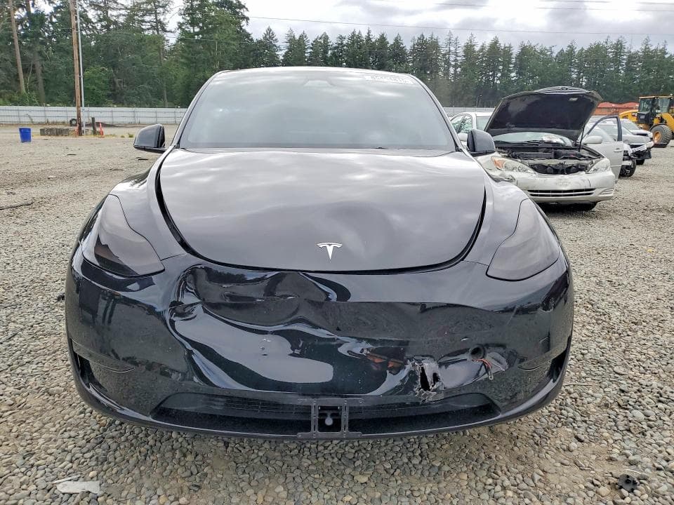 2023 TESLA MODEL  Y 5