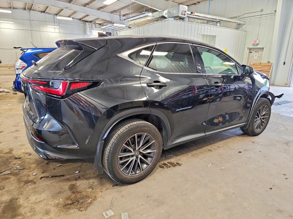 2024 LEXUS NX 250 PREMIUM 3