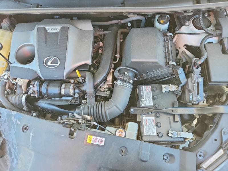 2020 LEXUS NX 300 11