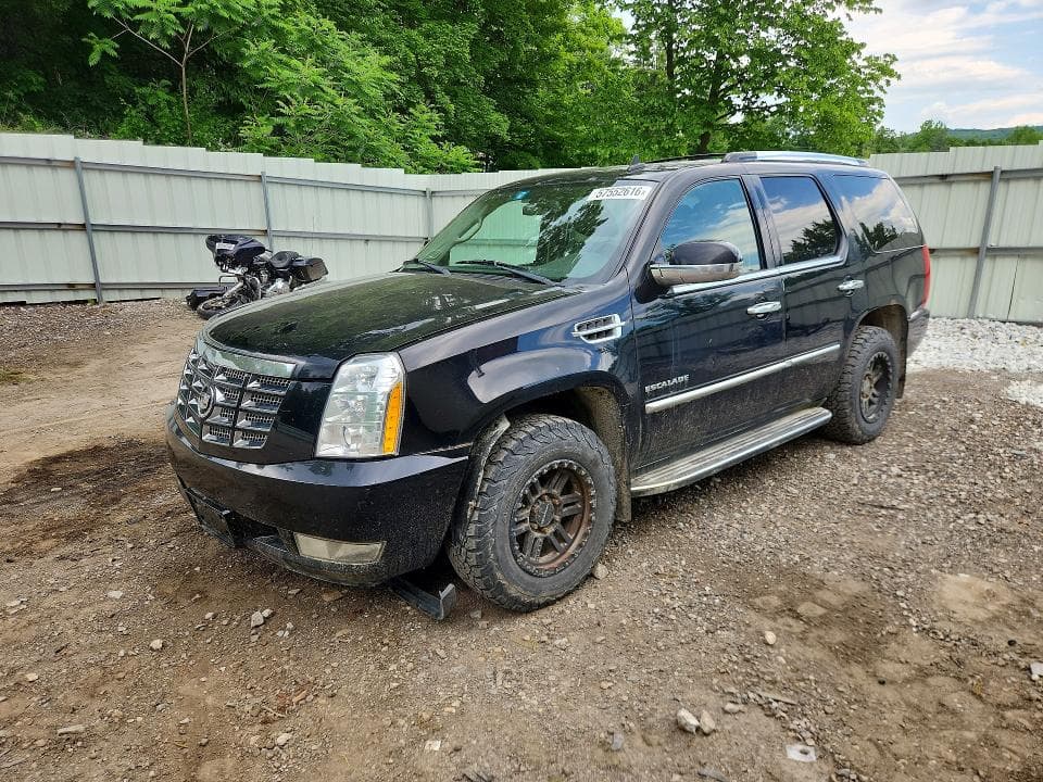 2011 CADILLAC ESCALADE LUXURY - 1