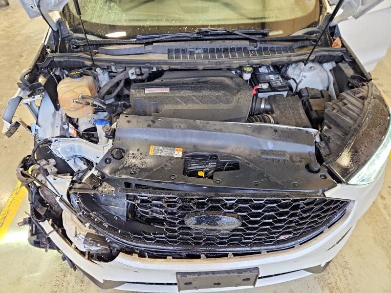 2019 FORD EDGE ST 12