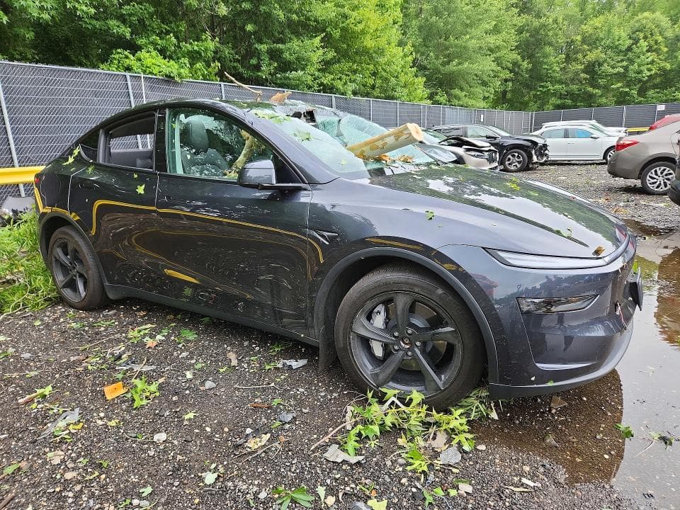 2026 TESLA MODEL Y 4