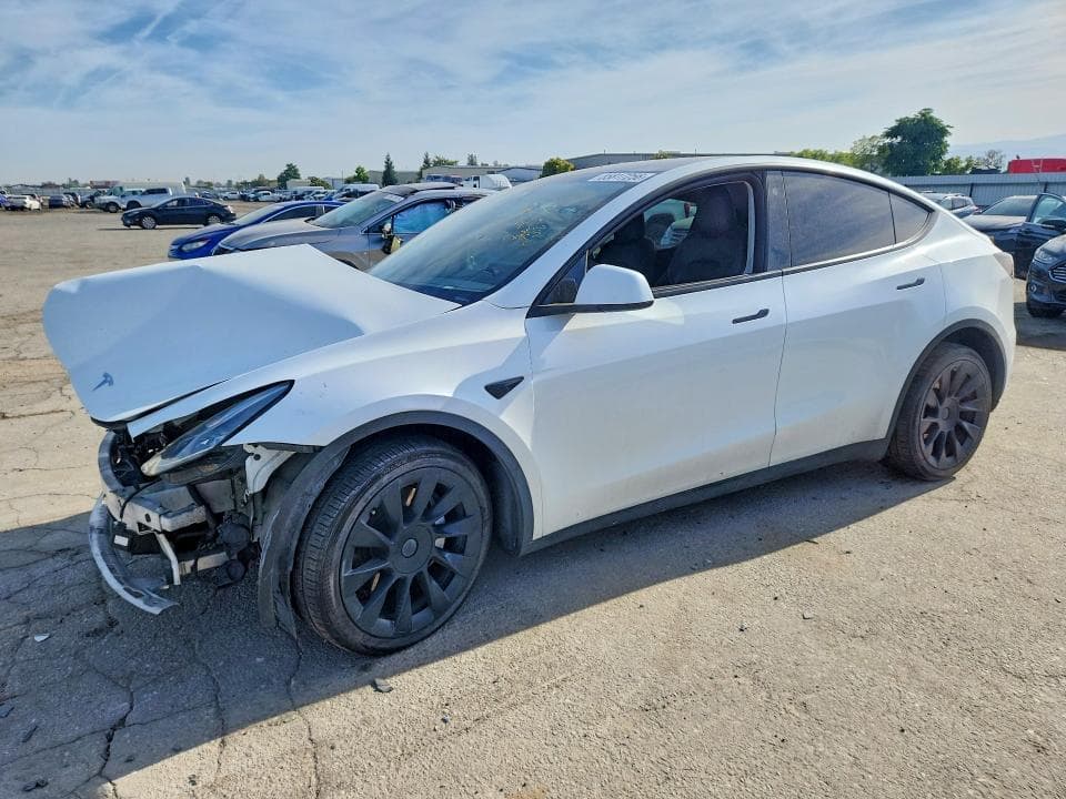 2021 TESLA MODEL Y - 1