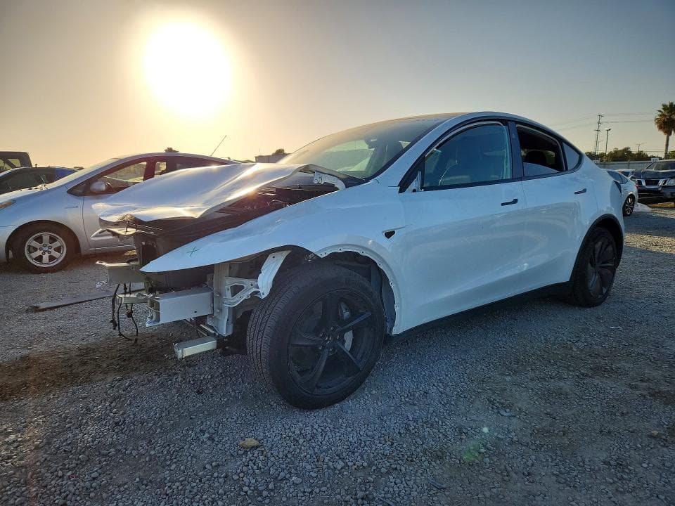 2026 TESLA MODEL Y - 1