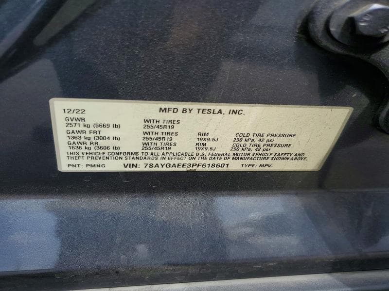 2023 TESLA MODEL Y 12