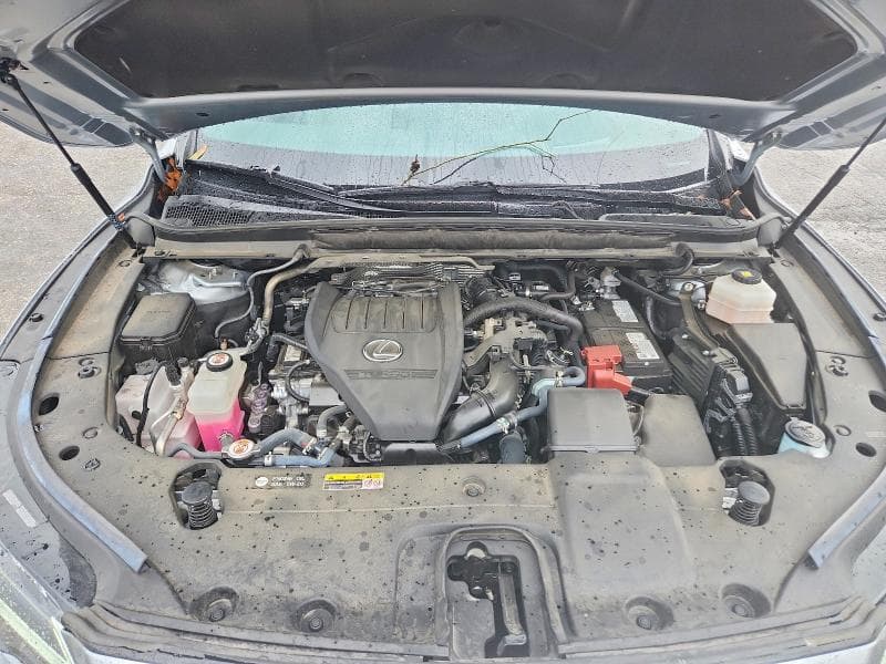 2024 LEXUS RX 350 PREMIUM+ 12
