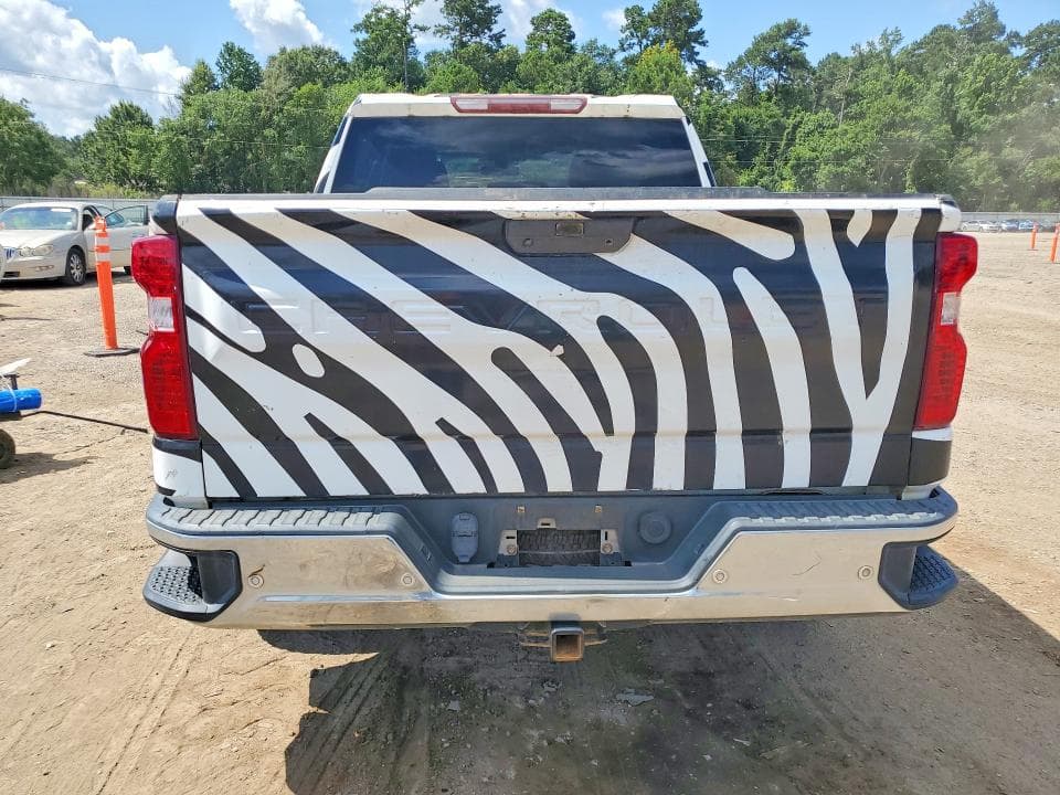 2019 CHEVROLET SILVERADO C1500 6