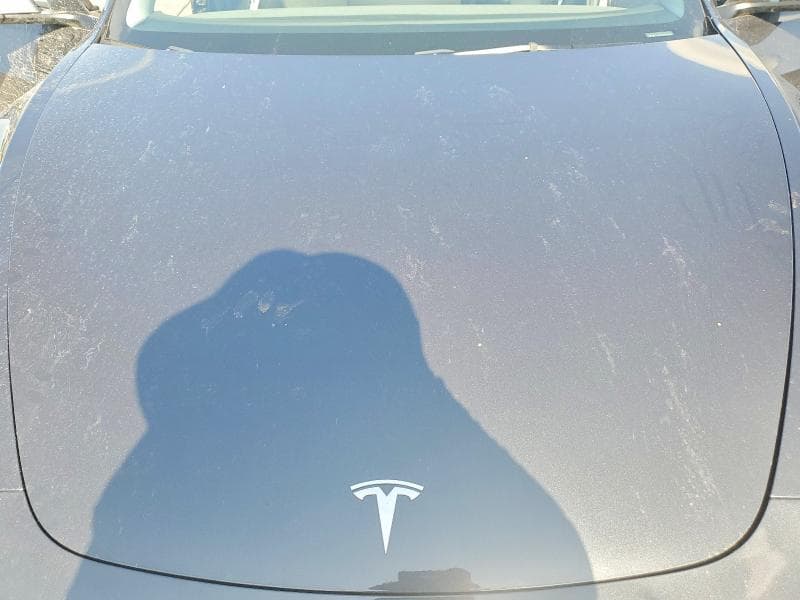 2025 TESLA MODEL 3 12