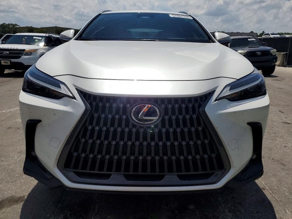 2024 LEXUS NX 250 BASE 5