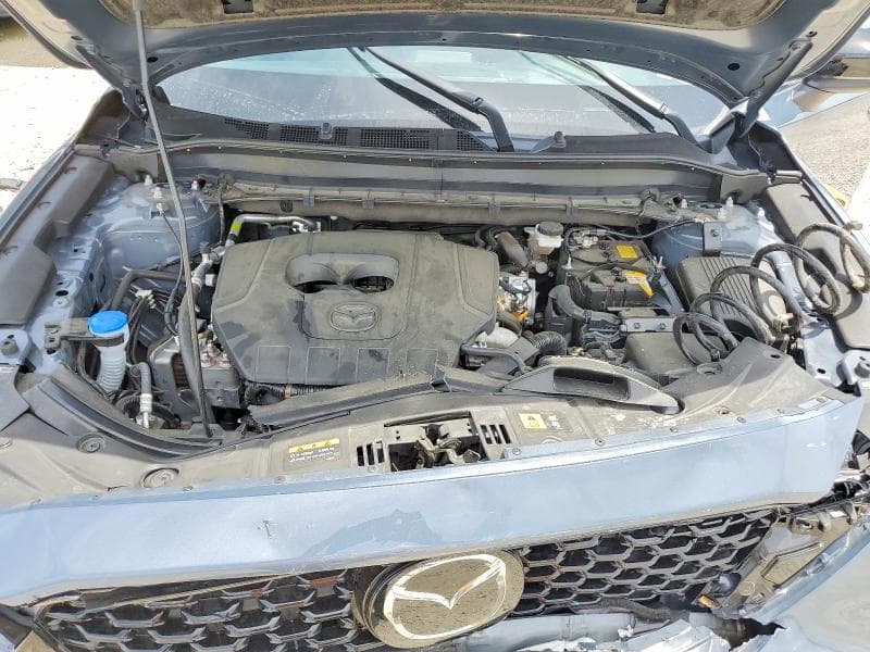 2025 TOYOTA 4 CYLINDER AUTO PREFERRED 11
