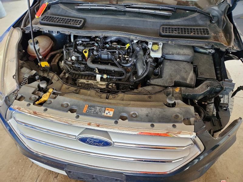 2019 FORD ESCAPE SE 12