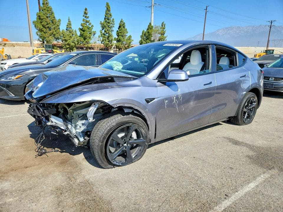 2026 TESLA MODEL Y - 1