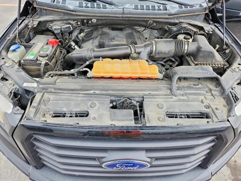 2017 FORD F150 11