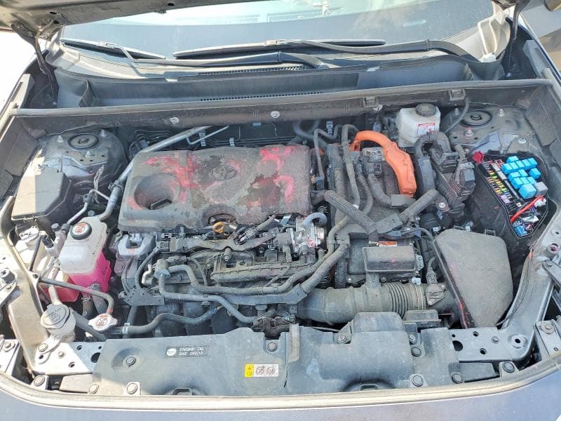 2024 TOYOTA RAV4 XSE 12