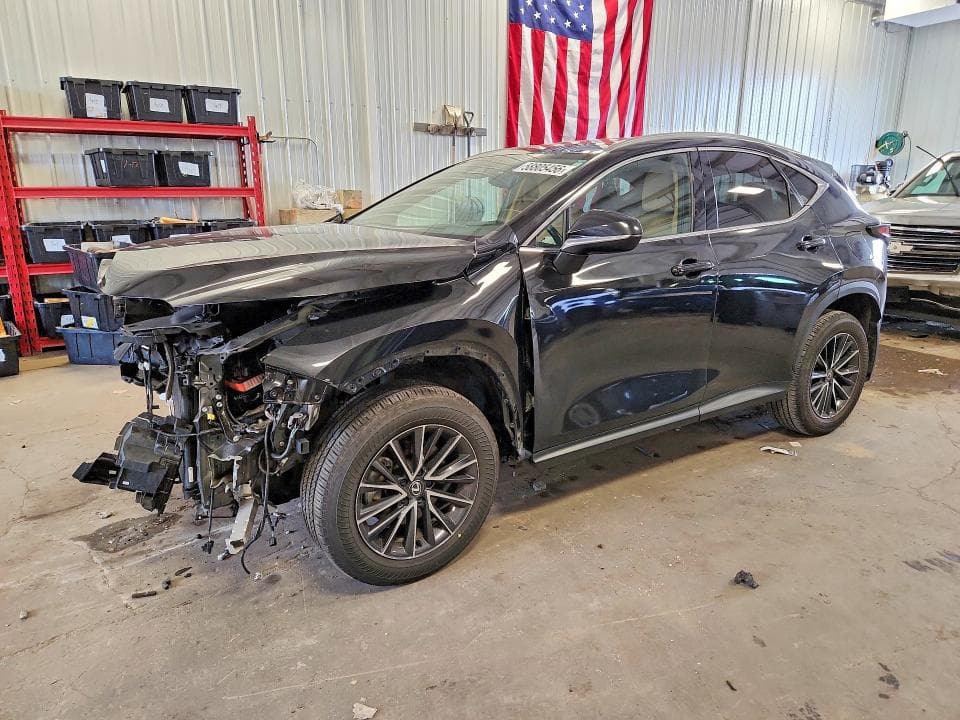 2024 LEXUS NX 250 PREMIUM - 1