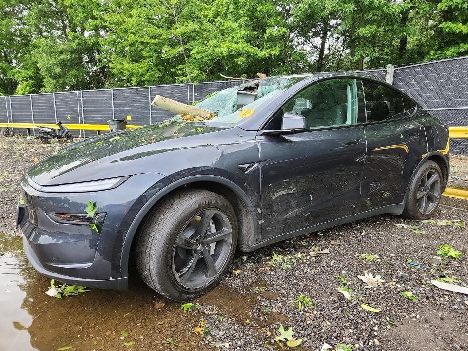 2026 TESLA MODEL Y - 1