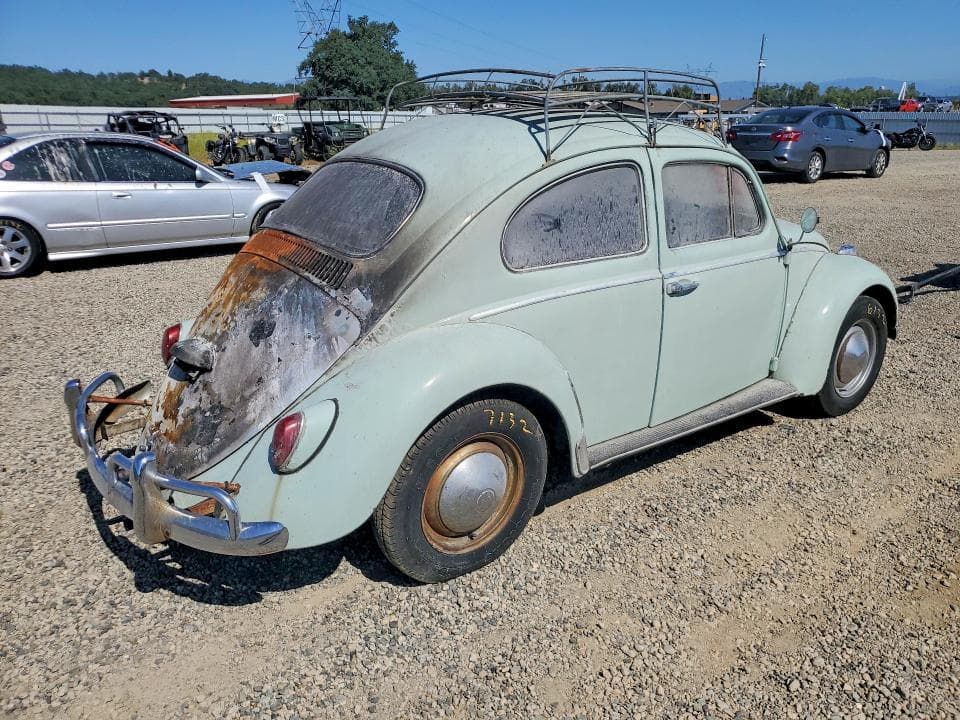 1964 VOLKSWAGEN BEETLE 3