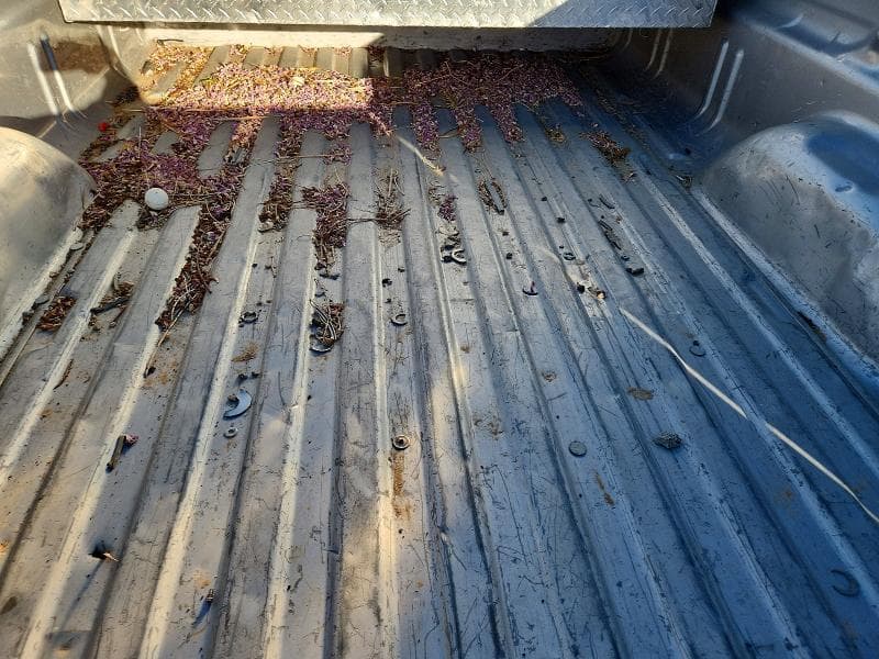 2017 CHEVROLET SILVERADO C1500 10