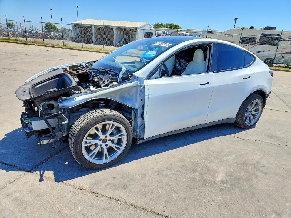 2020 TESLA MODEL Y - 1