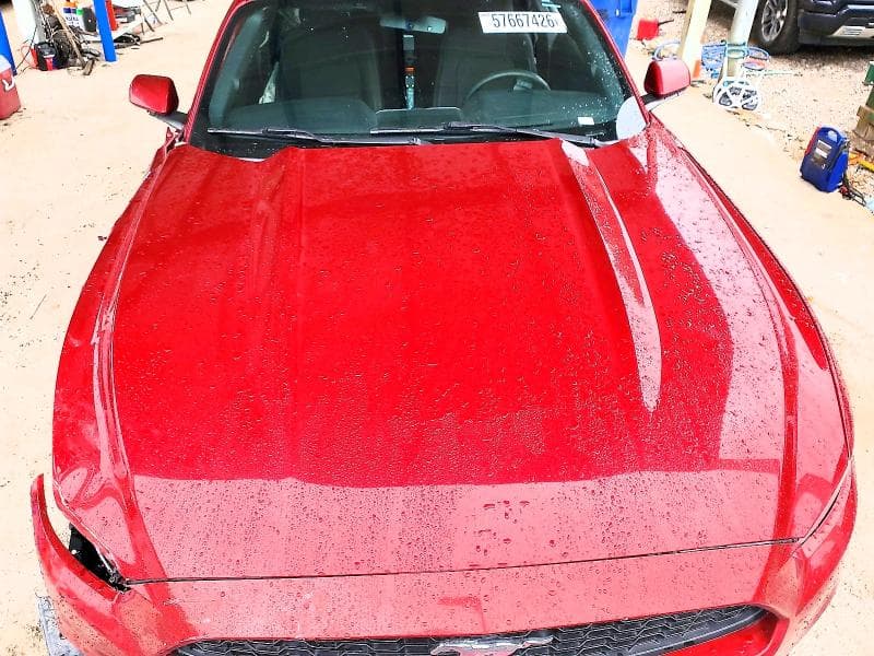 2017 FORD MUSTANG 11