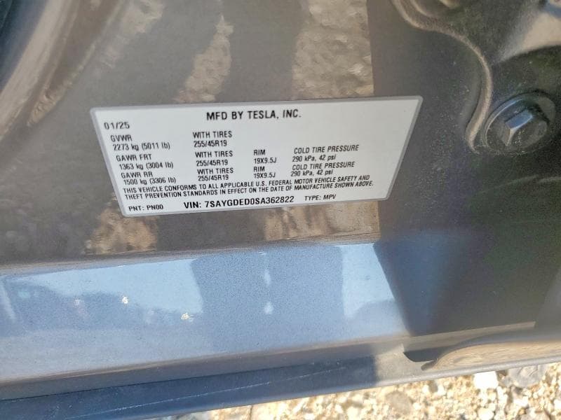 2025 TESLA MODEL Y 12