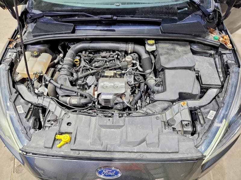 2017 FORD FOCUS SE 11