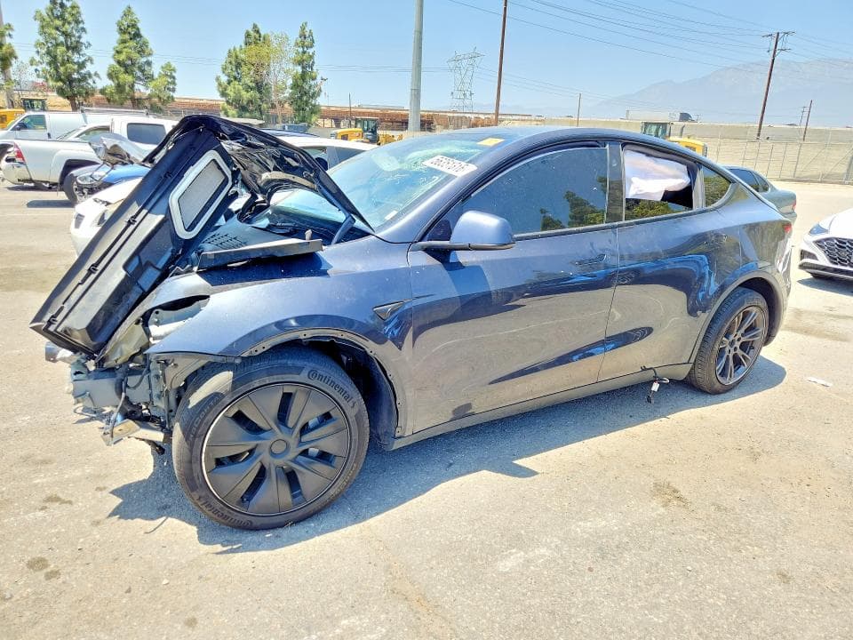 2025 TESLA MODEL Y - 1