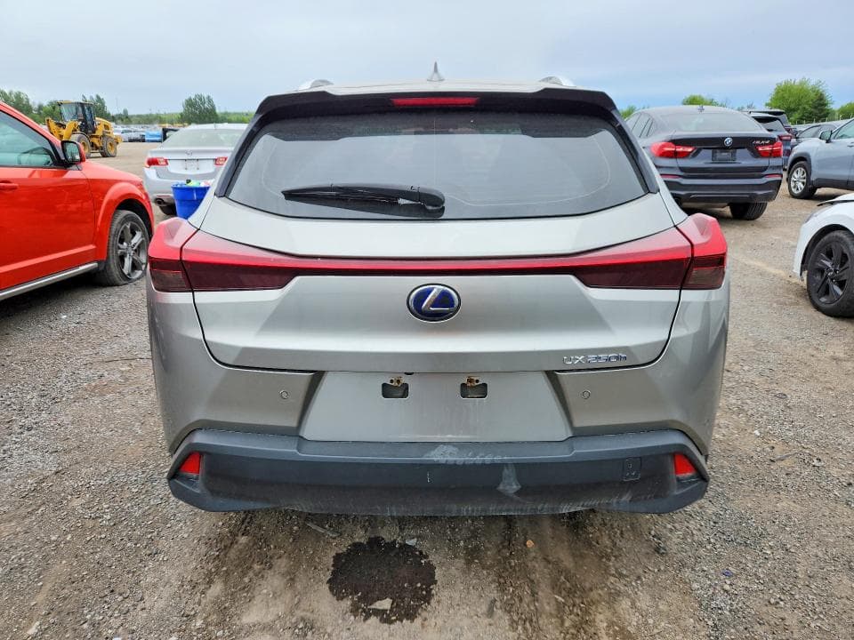2019 LEXUS UX 250H 6