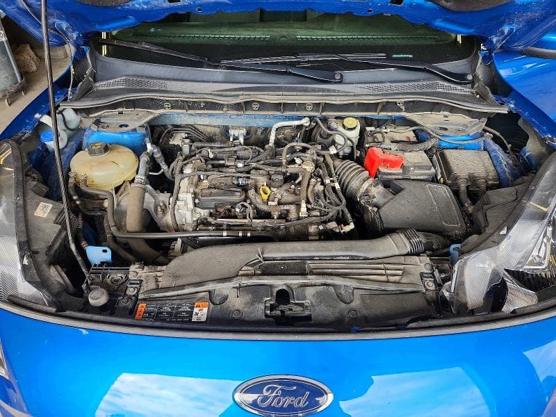 2021 FORD ESCAPE SE 12