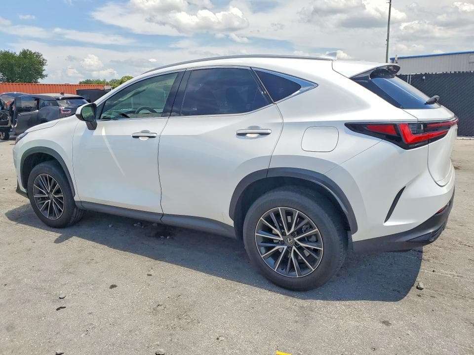 2024 LEXUS NX 250 BASE 2