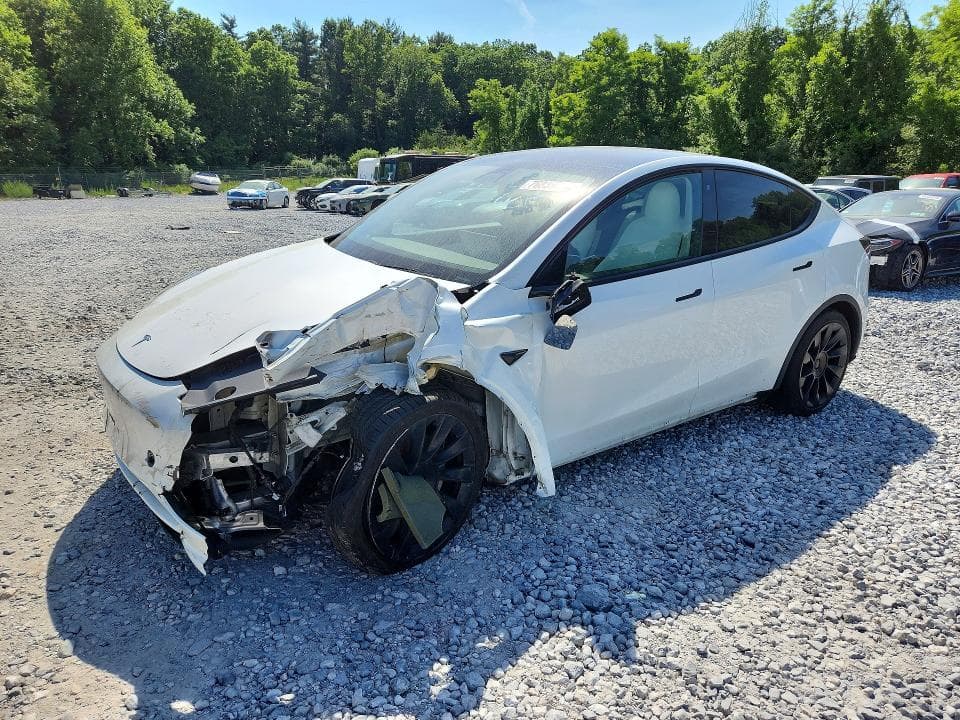 2020 TESLA MODEL Y