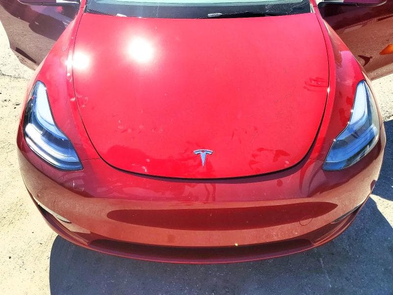 2025 TESLA MODEL Y 11