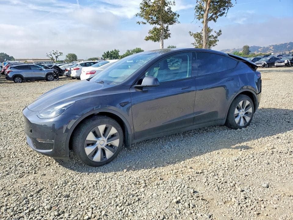 2024 TESLA MODEL Y - 1
