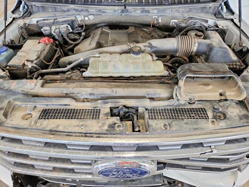 2020 FORD EXPEDITION MAX XLT 12