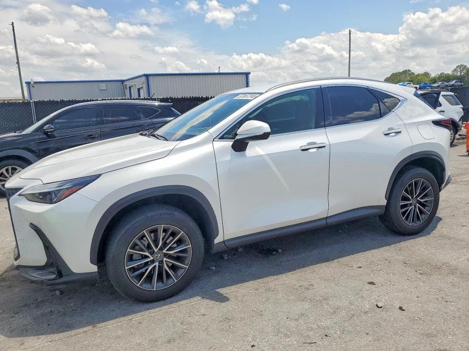 2024 LEXUS NX 250 BASE - 1